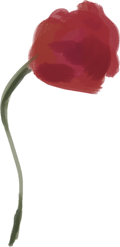 description of image