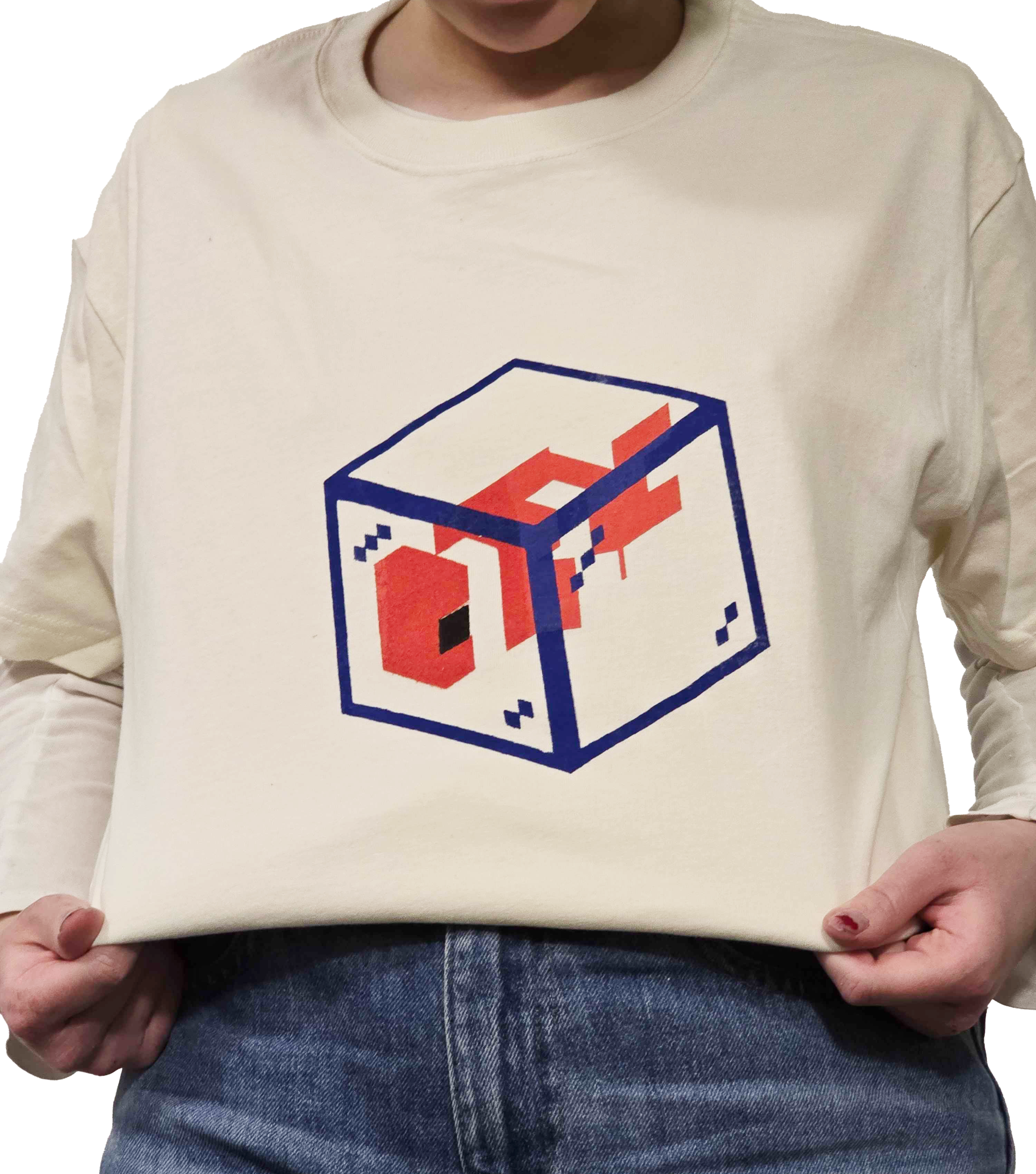 description of image