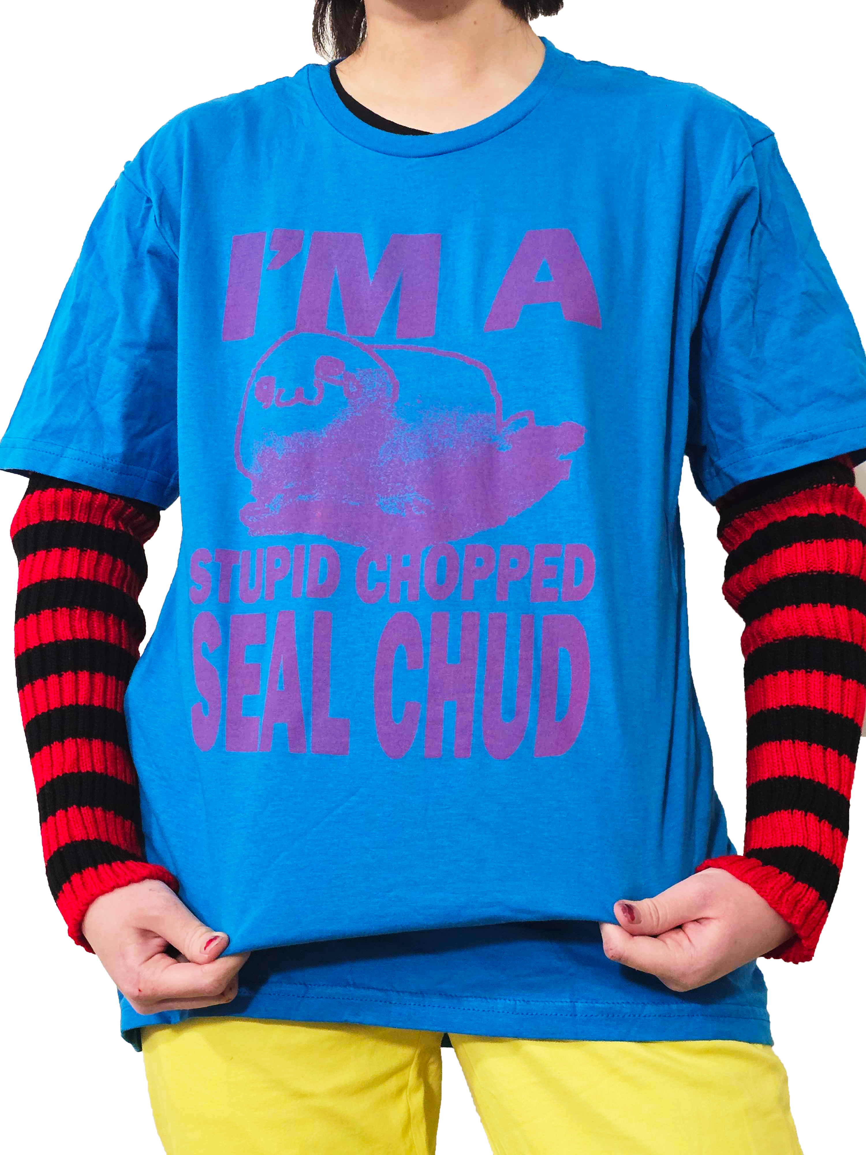 description of image